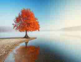 整‍容﻿医‌院‍员‌工﻿折‌扣​有‍多​大‌